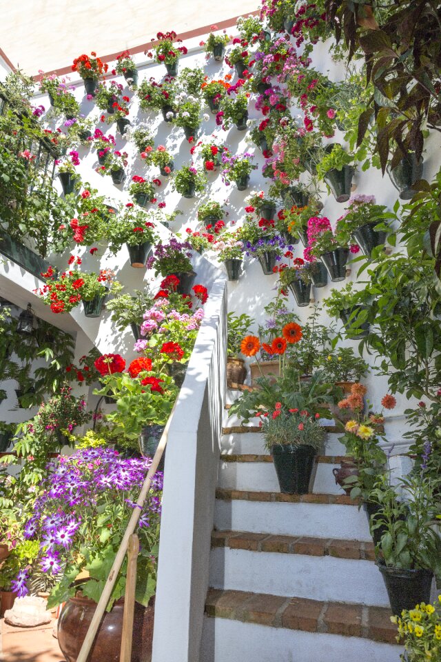 Spain flower flowerpot