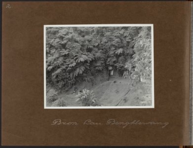 Bron Lau Bengklewang op Sumatra, Bestanddeelnr 827 04