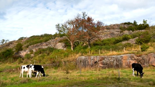 Broberg in Brodalen 5