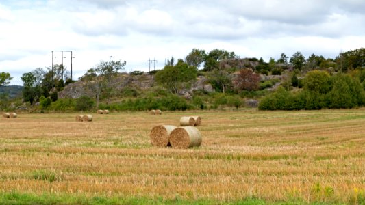 Broberg in Brodalen 7