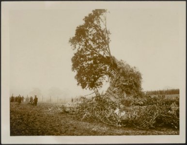 Broken on the British oak, Bestanddeelnr 158-2585