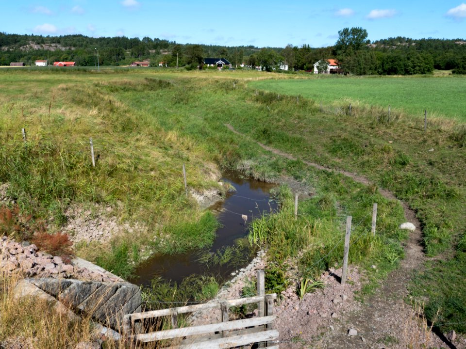 Broälven nature reserve north part