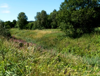 Broälven nature reserve south of Brodalen