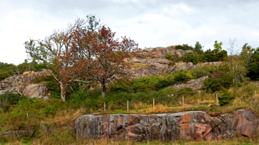 Broberg in Brodalen 1