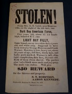 Broadside offering reward for a stolen horse, Gonzales County, March 7, 1872 - Lorenzo de Zavala State Archives and Library Building - Austin, Texas - DSC08366