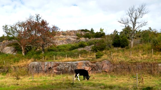 Broberg in Brodalen 4
