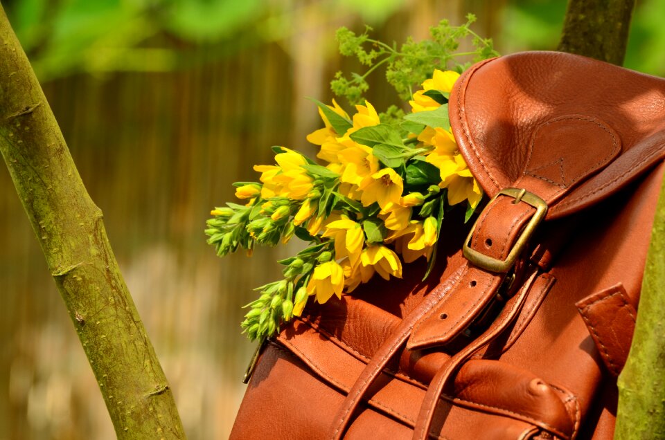 Buckle leather seam leather goods