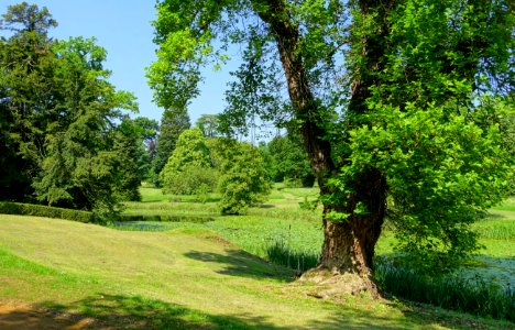 Broad Water - Wrest Park - Bedfordshire, England - DSC08250