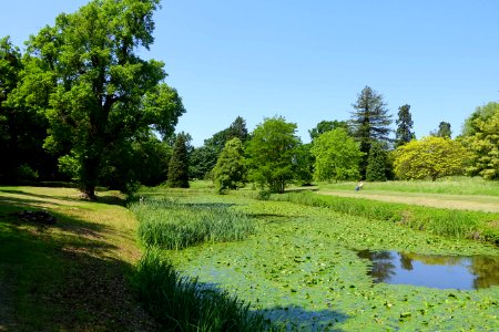 Broad Water - Wrest Park - Bedfordshire, England - DSC08231