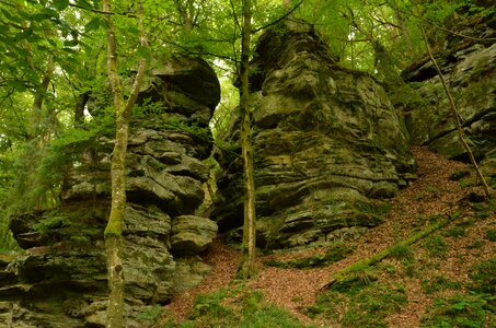 Height green echternach