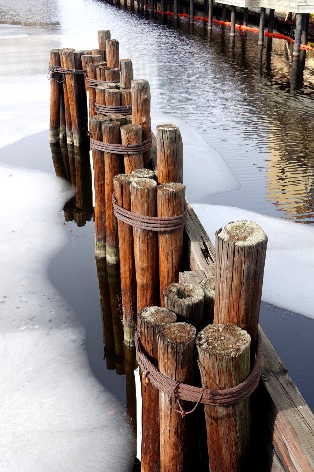Broad Canal - Cambridge, MA - DSC05657