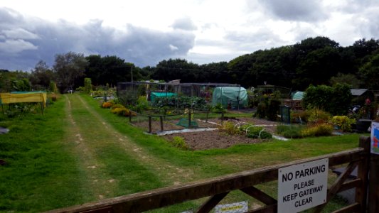 Broad Oak Allotments, Broad Oak Park, Bexhill