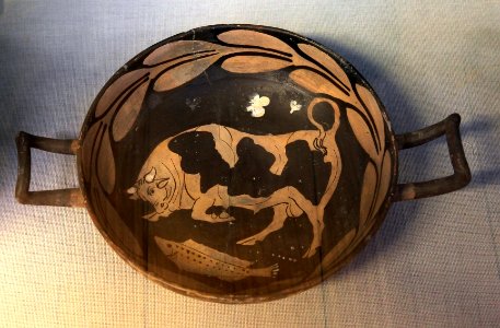 British Museum Room 20a Campanian cup Bull Danaid Painter 19022019 6707