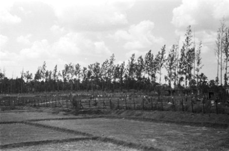 Britse militaire begraafplaats te Batavia, Bestanddeelnr 510-2-4