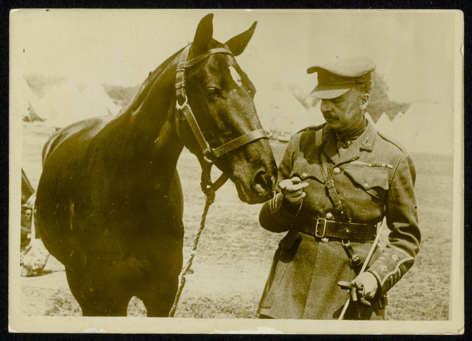 Britse officier met paard, Bestanddeelnr 158-0345