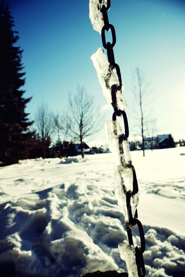 Frozen winter wintry