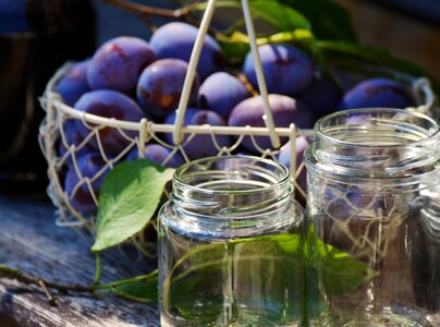 Plum purée plum jam harvest