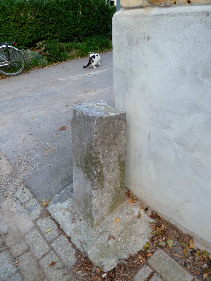Bruisterbosch-Grenspaal en wegkruis (3)