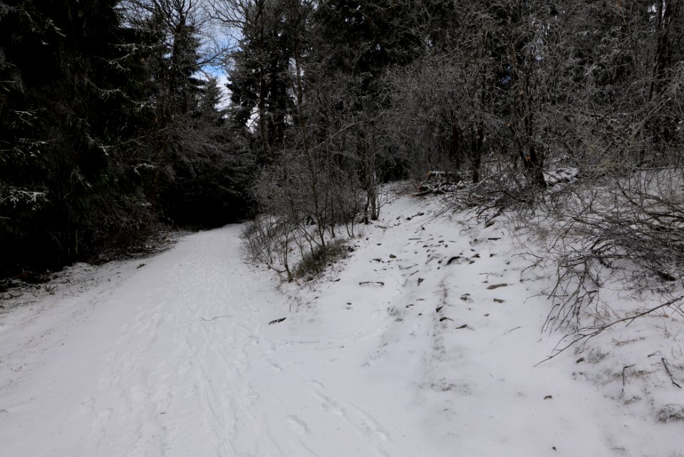 Brunhildispfad Großer Feldberg with snow 2021-04-06 22
