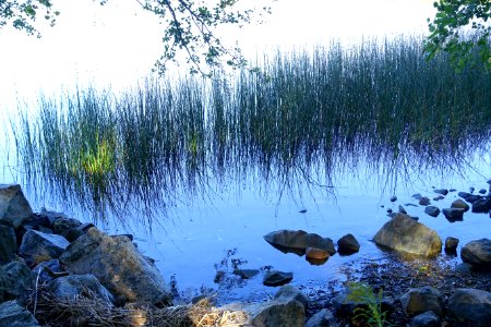 Brunnsviken - Stockholm, Sweden - DSC00074