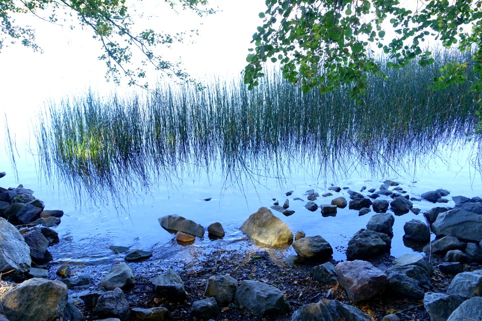 Brunnsviken - Stockholm, Sweden - DSC00076