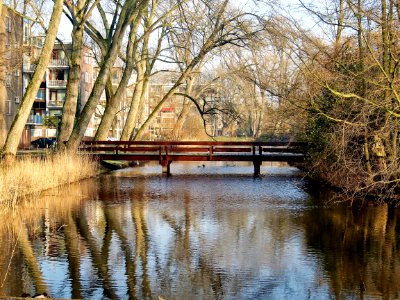 Brug 449, gustav Leonhardtbrug foto 6
