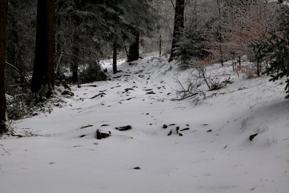 Brunhildispfad Großer Feldberg with snow 2021-04-06 19