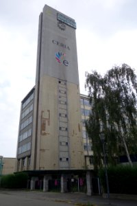 Brumonu 31