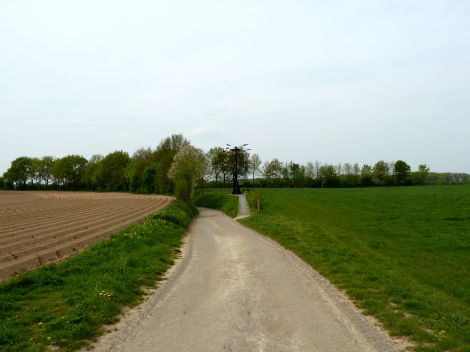Bruisterbosch-Galg van Mheer (3)