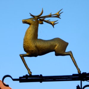 Bruneck, Stadtgasse 46, Nasenschild, 1