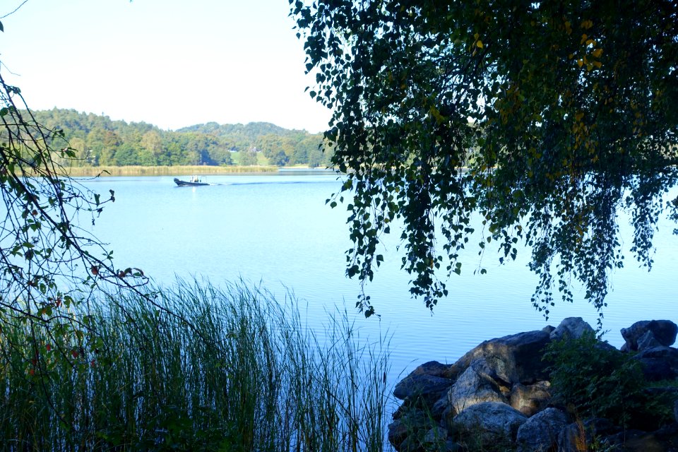 Brunnsviken - Stockholm, Sweden - DSC00071
