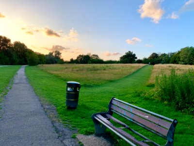Brook Farm Open Space looking north 2020
