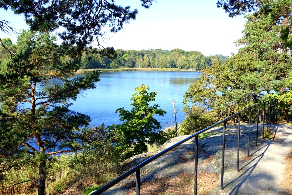 Brunnsviken - Stockholm, Sweden - DSC00084