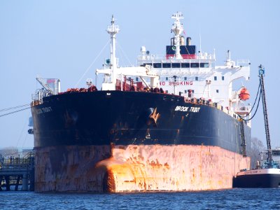 Brook Trout (ship, 2007) IMO 9314181 Port of Amsterdam
