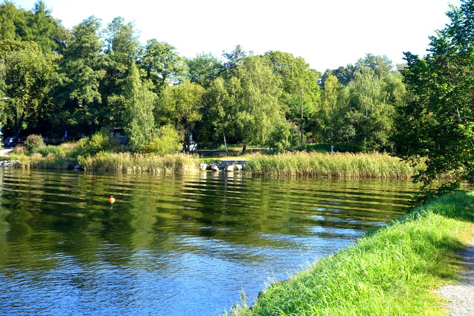 Brunnsviken - Stockholm, Sweden - DSC00081