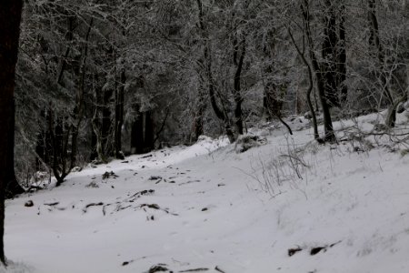 Brunhildispfad Großer Feldberg with snow 2021-04-06 25