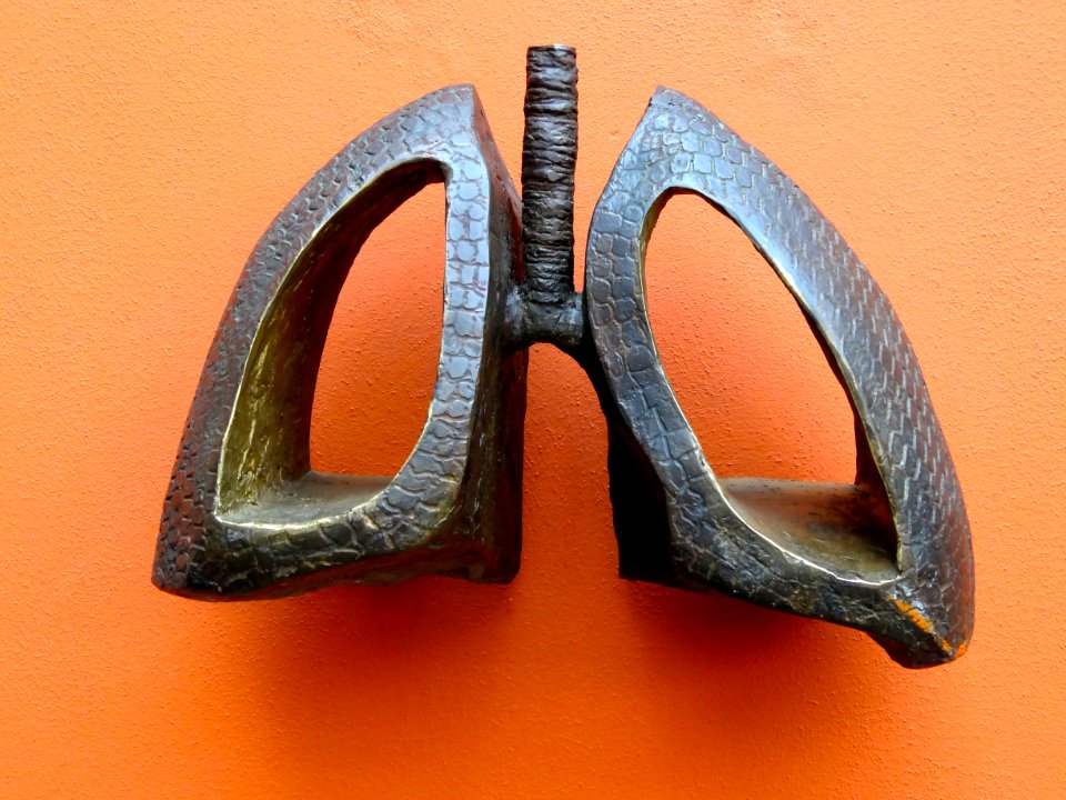 Bronzen longen Bert Kiewiet Fonteinstraat UMCG
