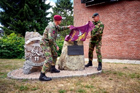 Bronzen Schild 11 Geniecompagnie Luchtmobiel Air Assault
