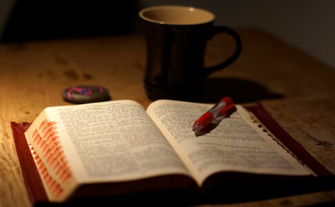 Bible book posted