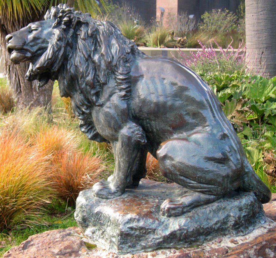 Bronze sculpture of a lion by Roland Hinton Perry, Golden Gate Park