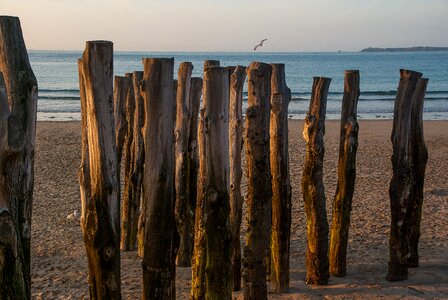Saint malo beach breakwater