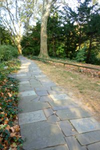 Brooklyn Celebrity Path - DSC07900