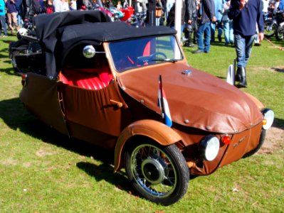 Brown Velorex pic6