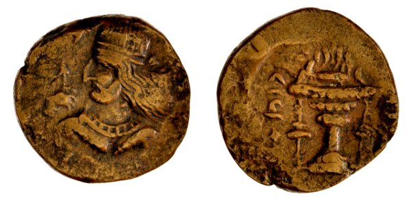 Bronze coin of Farn-Sasan