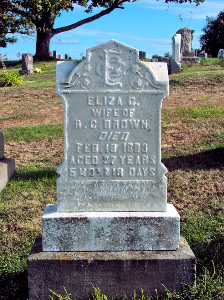 Brown (Eliza G.), Robinson Run Cemetery, 2015-09-27, 01