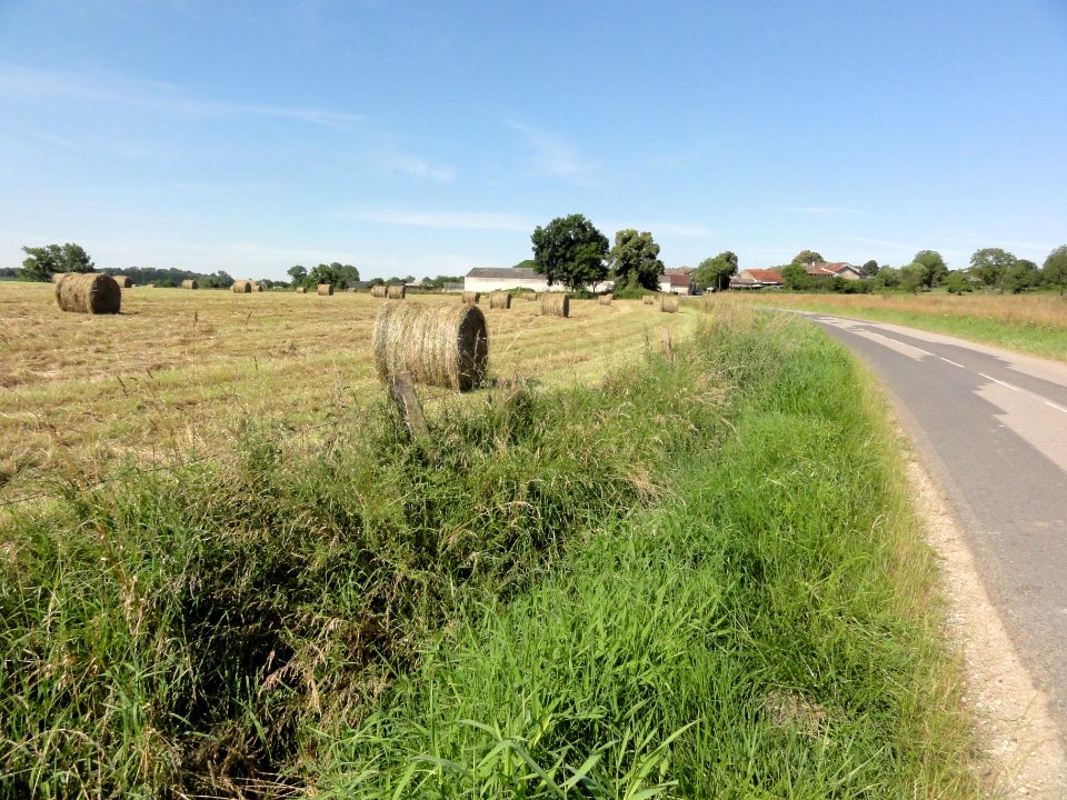Brouville (M-et-M) paysage C