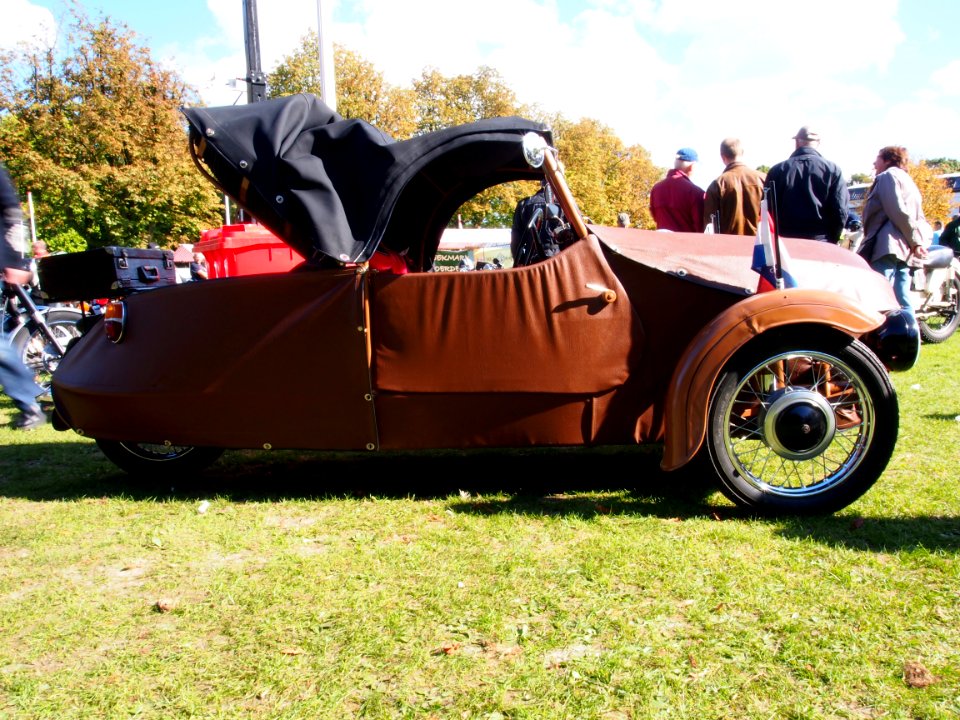 Brown Velorex pic5