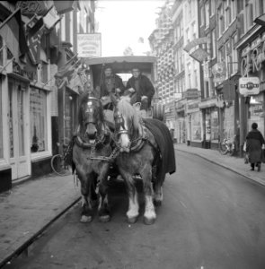 Brouwerijpaard met snor in Amsterdam, Bestanddeelnr 914-8571