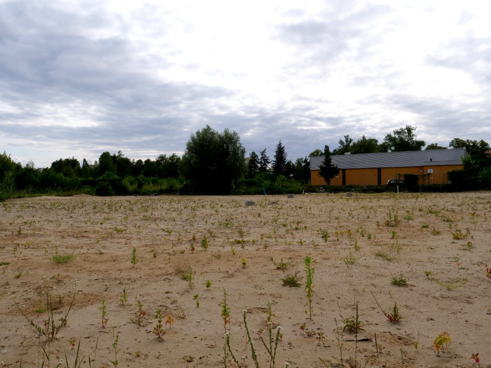 Brownfield next to Poelzigpark 2019-07-07 03