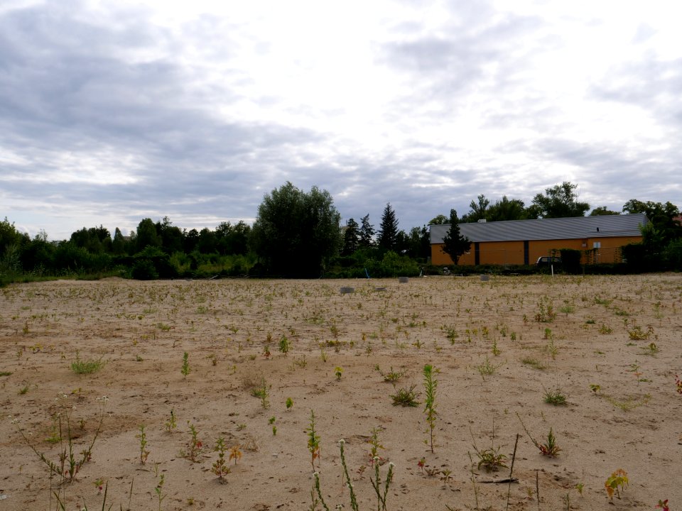 Brownfield next to Poelzigpark 2019-07-07 02
